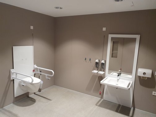 Das Bild zeigt ein angepasstes Badezimmer